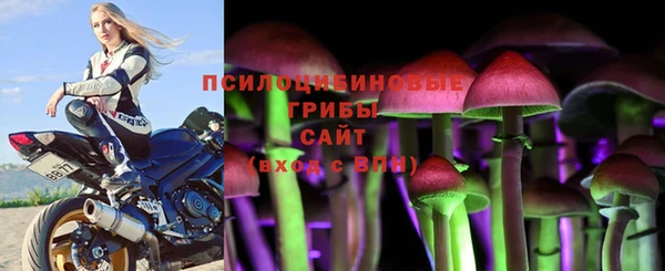 трава Алексеевка