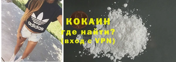 стаф Новодвинск