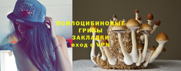 MESCALINE Алзамай