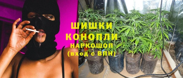 ПСИЛОЦИБИНОВЫЕ ГРИБЫ Абаза