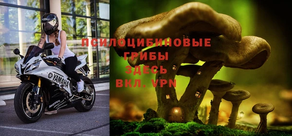 MESCALINE Алзамай
