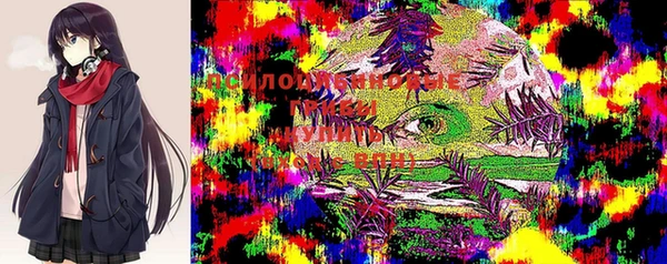 MESCALINE Алзамай